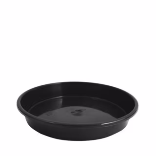 gc-scr200-saucer