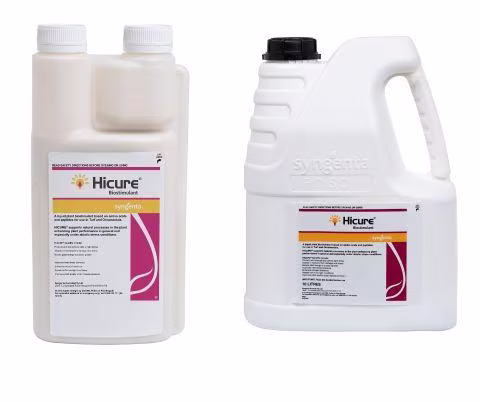 hicure-collection