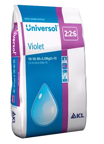 icl-universol-violet