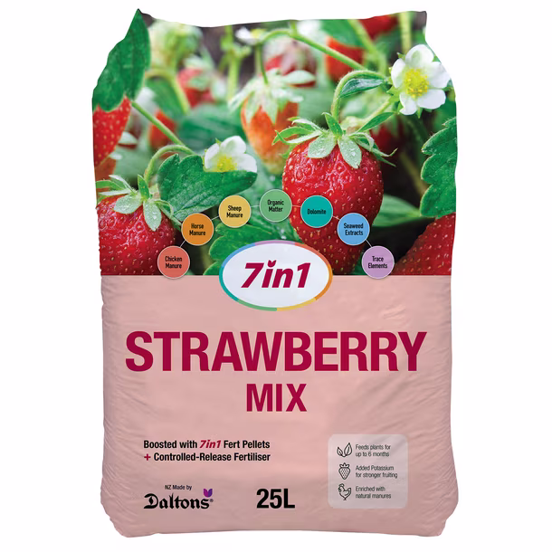 7in1 Strawberry Mix