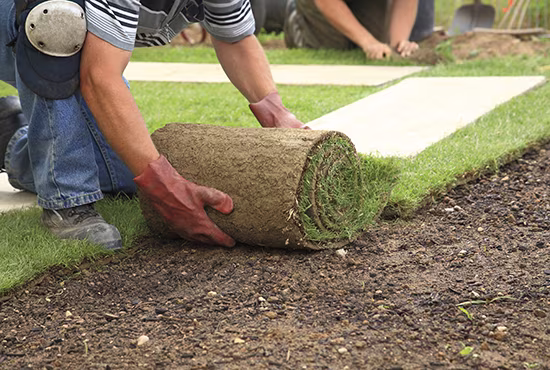 Lawn Ready roll iS12697419L sml.jpg